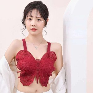 Erotic Butterfly Lace Bra For Women N0 17